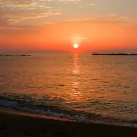 12616