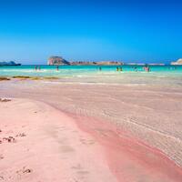 19481
