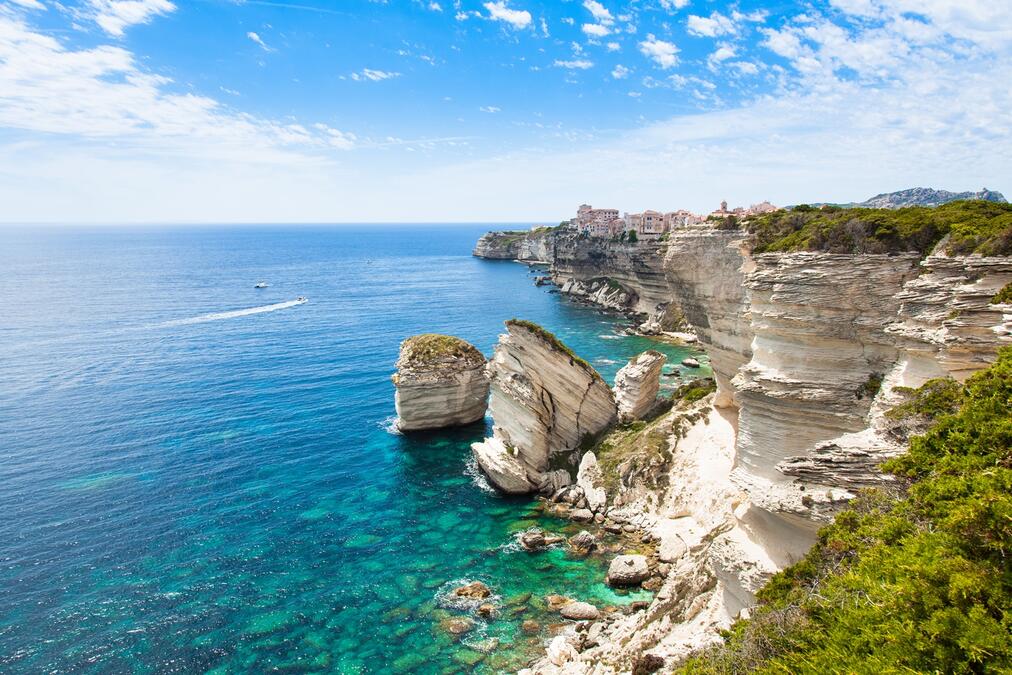 21494