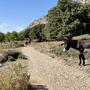 Jóga a turistika na Mallorce
