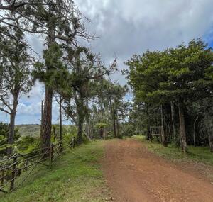 32057