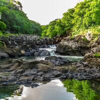 32058