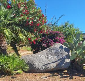 32368