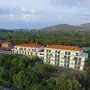 Delfinia