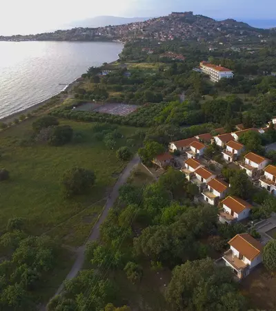 Delfinia