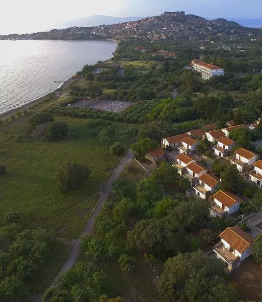 Delfinia