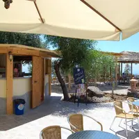 33293
