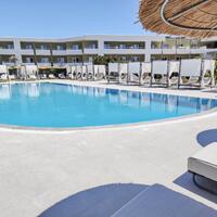33447